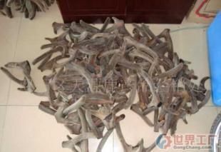 批发优质梅花鹿茸 医药与保养领域的珍品