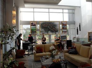 艺韵金陵 南京展坤岚彩工艺品厂的文化传承与商业创新